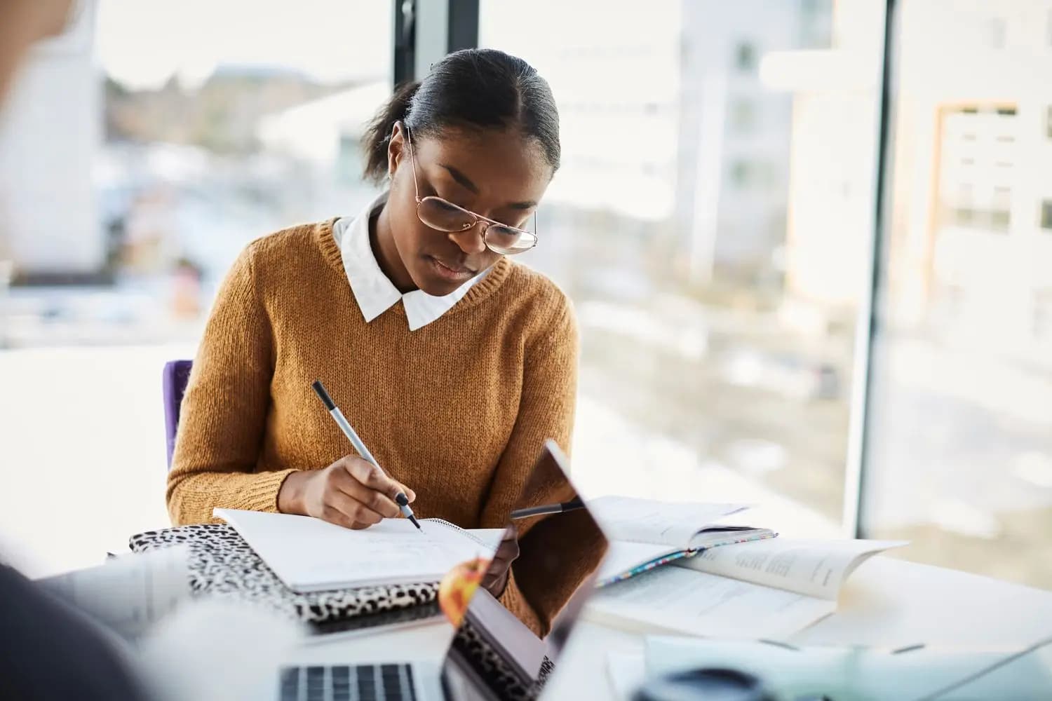 Work Ready Transition Program